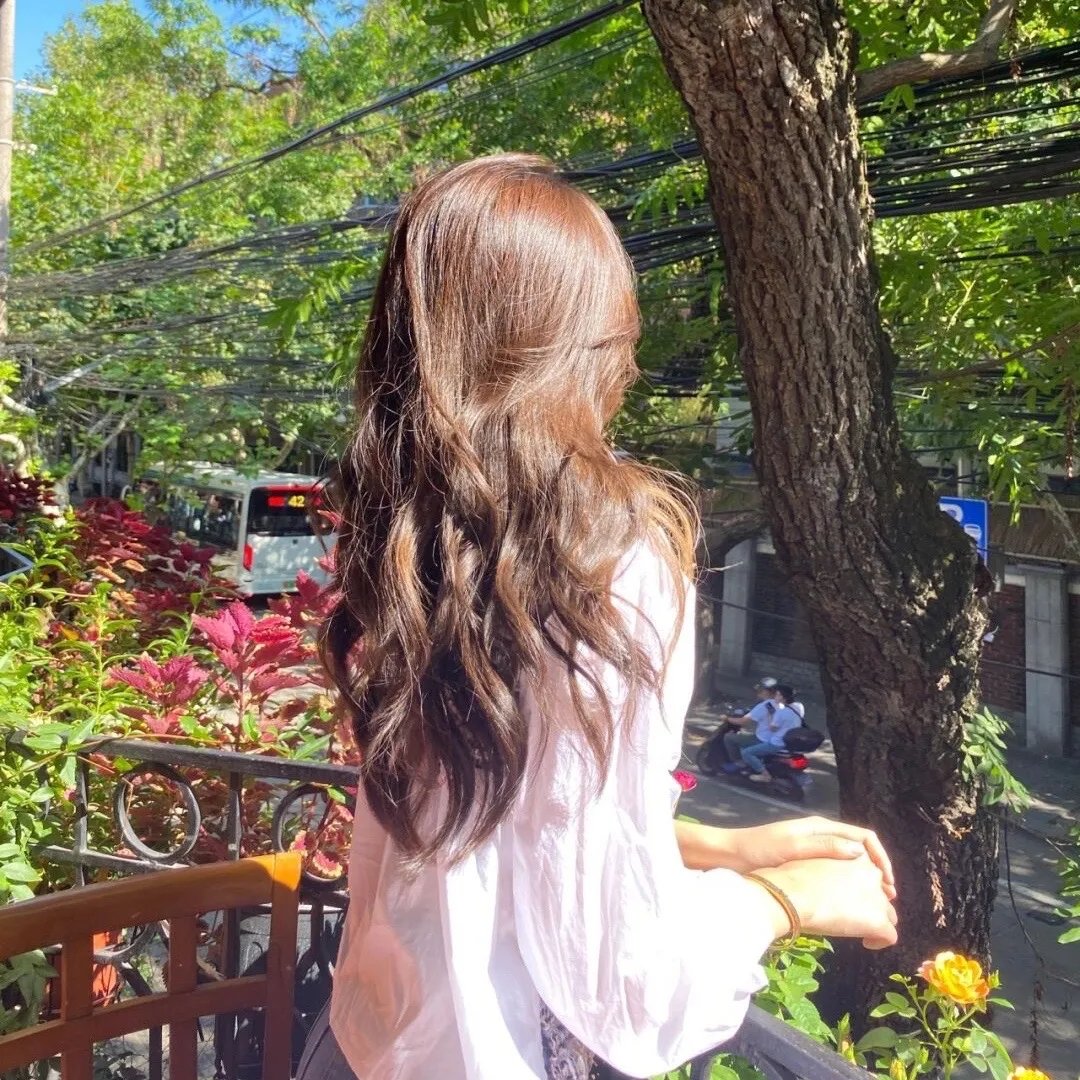 再会吧！青春小鸟